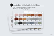 Neutral Procreate Color Palette, a Palette Add-On by Designer's Kit Co (Thumbnail 9 of 10)