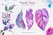 Tropical. Watercolor illustrations., a Decorative Illustration by AlexGreenArt (Thumbnail 5 of 12)