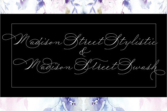 Madison Street Stylistic & Swash preview 7