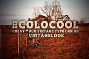 Ecolo Family Font, a Font by Emdaduljs (Thumbnail 4 of 8)