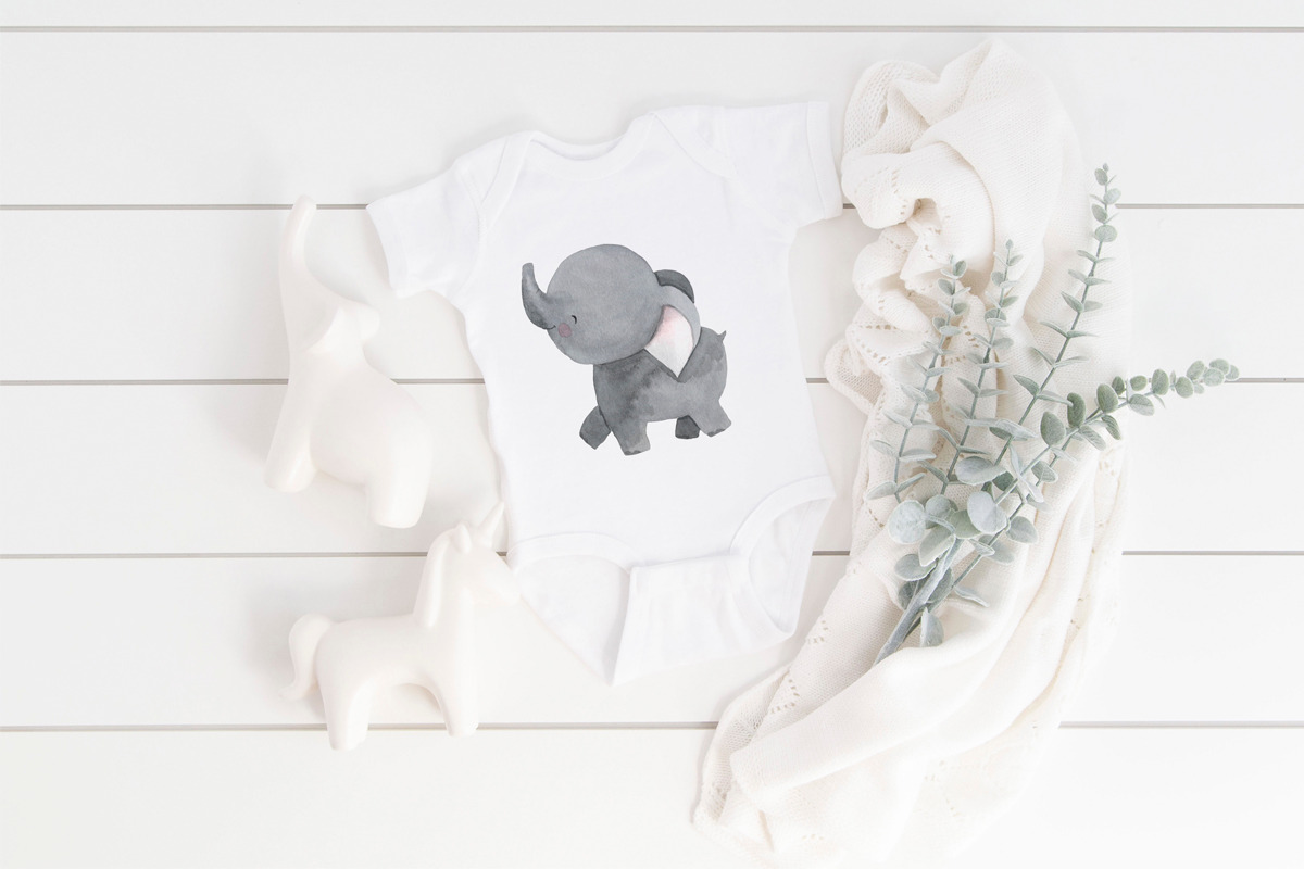 ELEPHANT clipart. Safari animal, an Animal Illustration by OlliArtDesign (Photo 3 of 5)