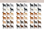 Cane Corso dog clip art, an Animal Illustration by pet design shop (Thumbnail 3 of 9)
