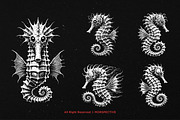 10 Bundle Dark Art Seahorse Sea, an Illustration by Morspective (Thumbnail 5 of 7)