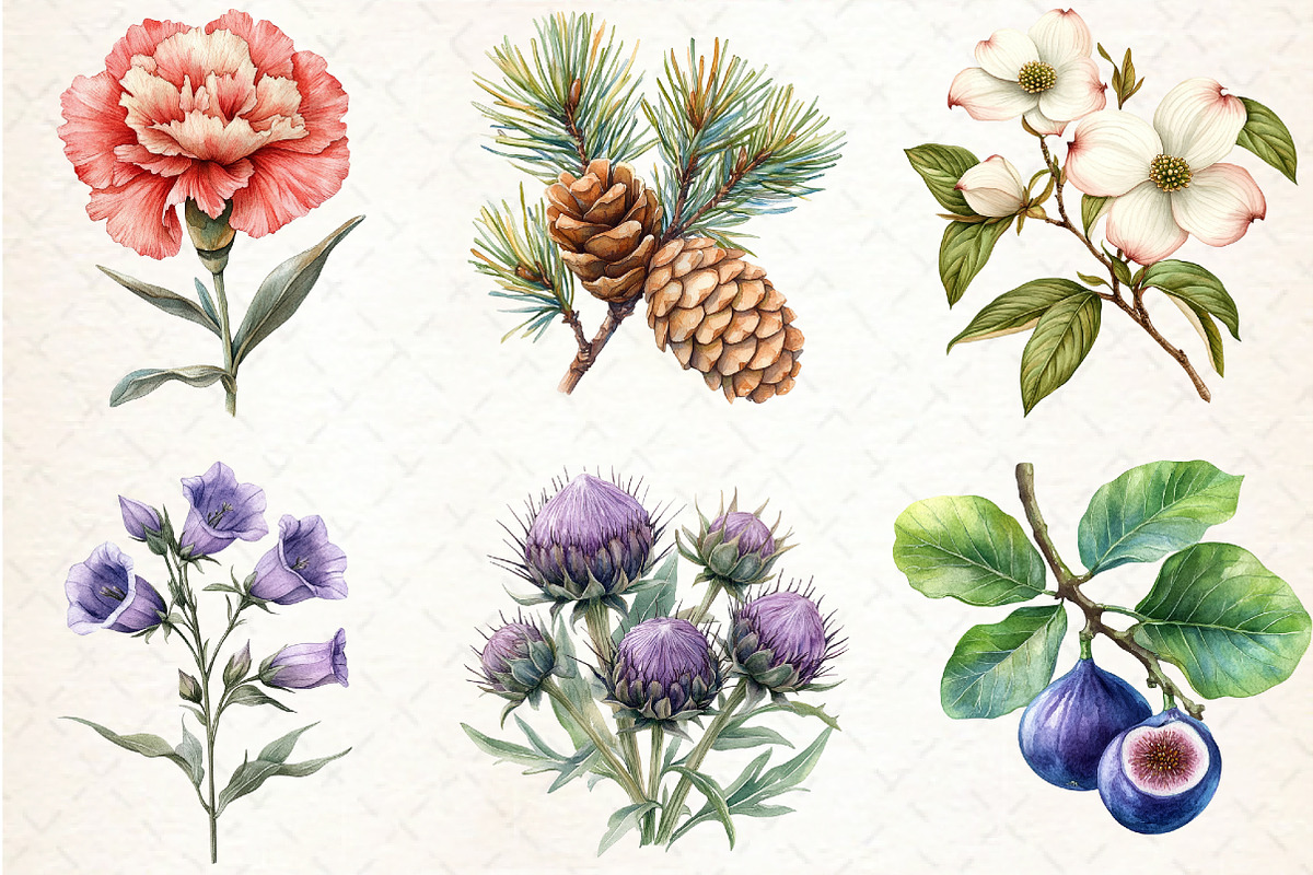 Vintage Botanical Clipart, an Illustration by Libby Wishes (Photo 6 of 6)