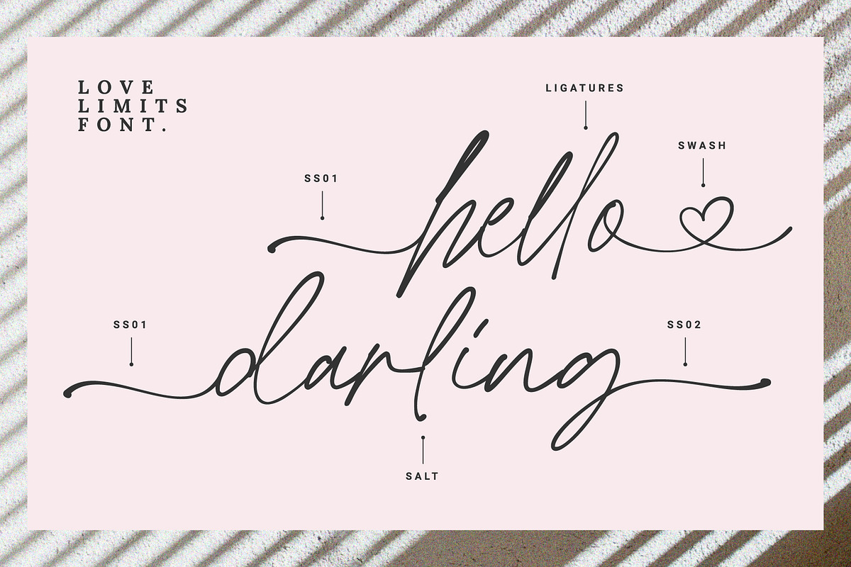 Love Limits - Lovely Stylish Font, a Script Font by Prioritype Co (Photo 5 of 10)