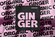 Gogia Sans, a Sans Serif Font by Viswell (Thumbnail 6 of 8)