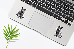 Cute British Shorthair Cat Sticker