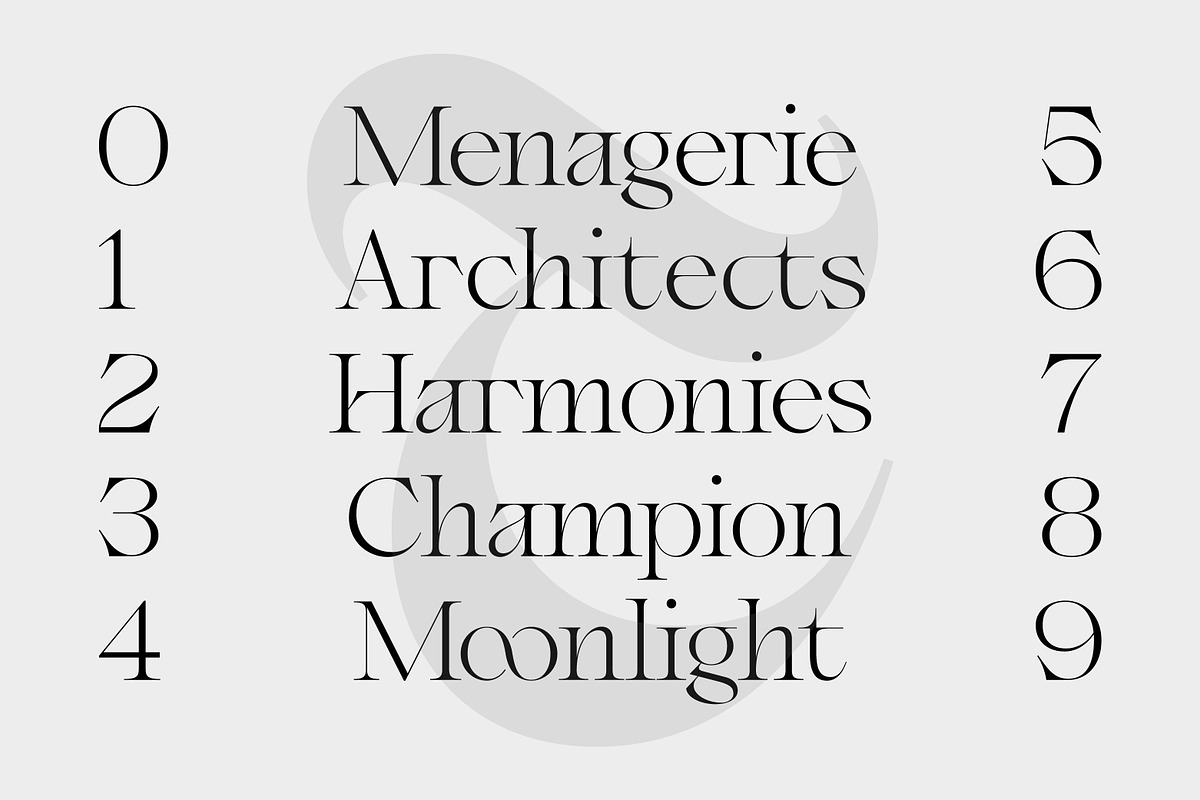 Coera - Elegant Serif Typeface, a Serif Font by Typocracy Studio (Photo 8 of 10)