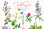 Field Watercolor Flowers, an Object Graphic by JSolomatina (Thumbnail 2 of 5)