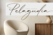 Rulligedro Modern Calligraphy Script, a Script Font by Letterena Studios Script (Thumbnail 4 of 15)