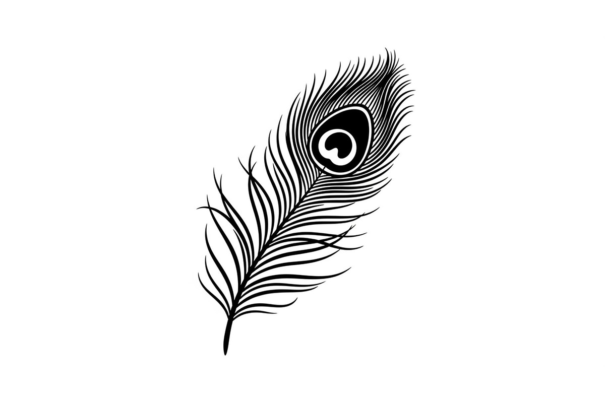 Peacock Feather Silhouette Bundle, an Illustration by jahid234 (Photo 15 of 31)