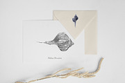 Seashells watercolor illustrations, an Illustration by JulShuman (Thumbnail 7 of 8)