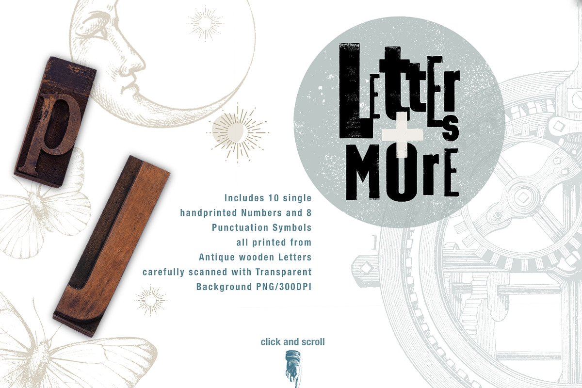 Letters and vintage Graphic Elements, an Illustration by beehouse studio (Photo 4 of 10)