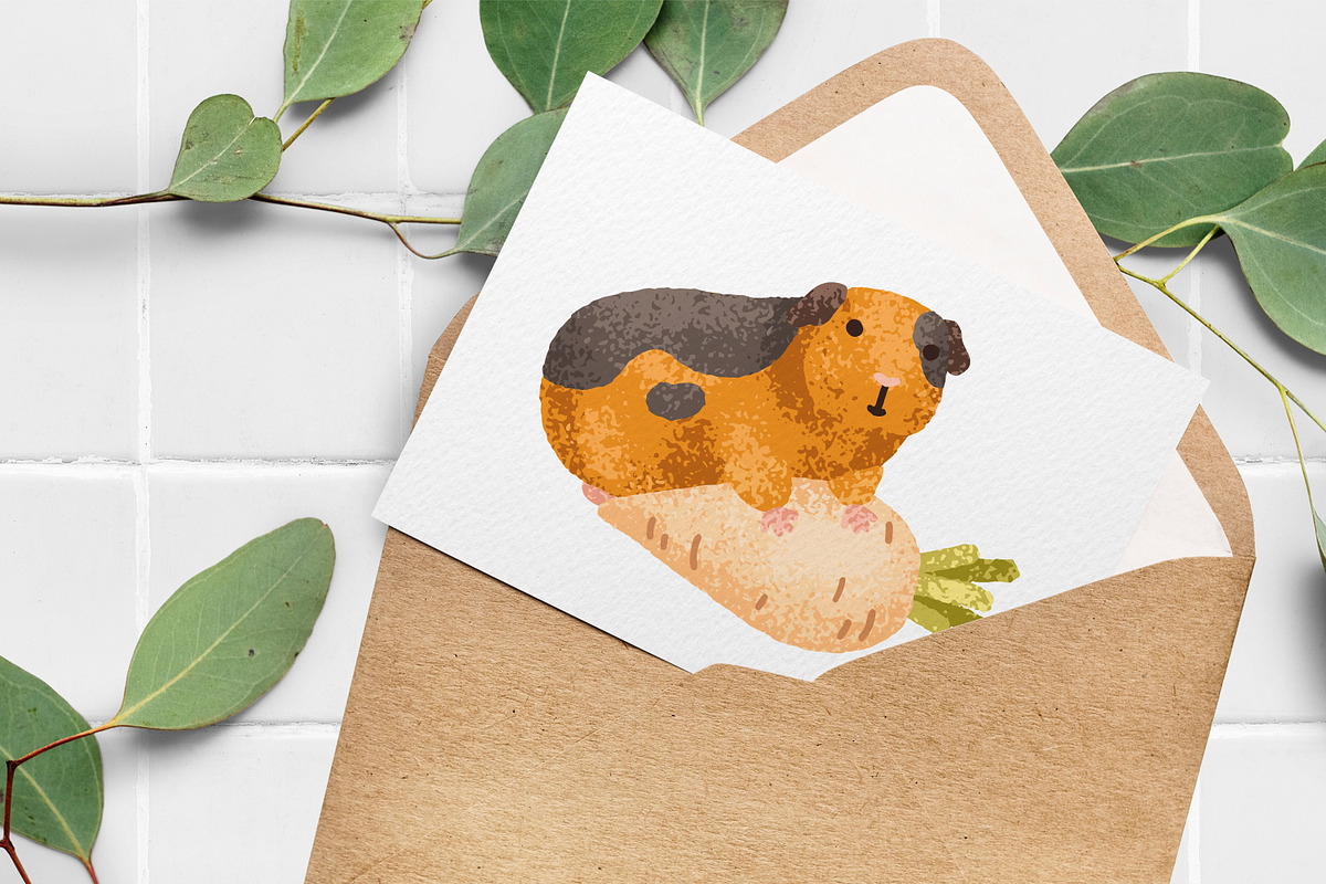 Cute, funny guinea pig animals set, an Animal Illustration by Good Studio (Photo 14 of 14)