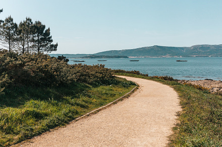 Dirt road through a forest by the sea, a Photo by rubenchase