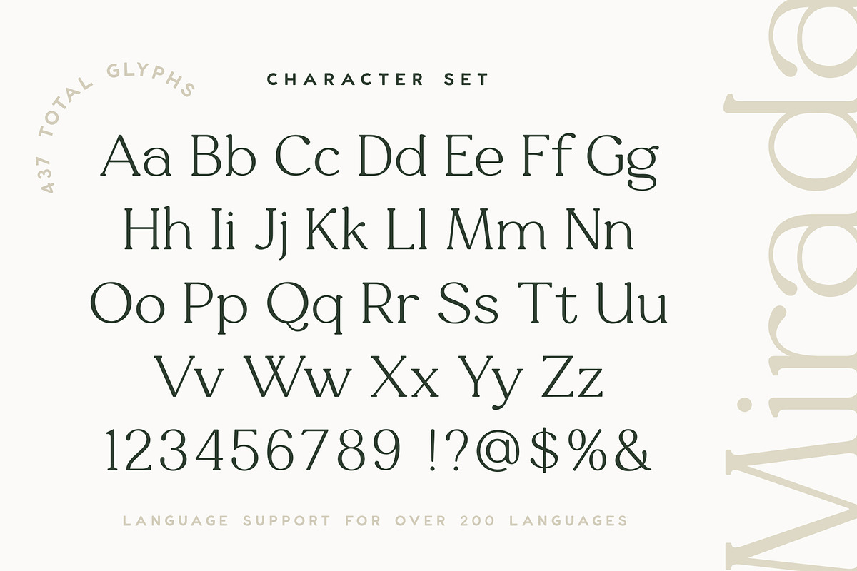 Mirada Serif, a Serif Font by Rachel Kick (Photo 10 of 12)