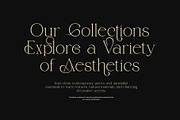 Bugist Elegant Serif Font, a Serif Font by Graphicxell (Thumbnail 5 of 8)