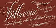 Belluccia, a Script Font by Correspondence Ink (Thumbnail 1 of 12)