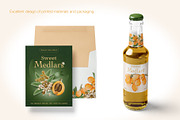 Loquat watercolor clip art, an Illustration by Alena Sid (Thumbnail 7 of 15)
