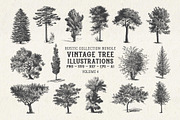 Vintage Tree Vector Bundle Vol. 4, an Object Illustration by Seaquint (Thumbnail 1 of 5)