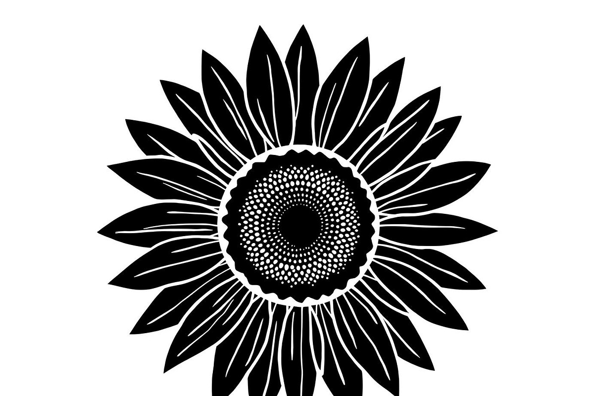 Floral Flower Vector Collection, an Illustration by Designer_Momina (Photo 9 of 9)