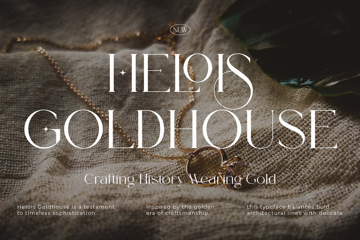 Verloise – Luxury Modern Serif Font, a Serif Font by Muflieart (Photo 7 of 10)
