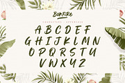 Bonfire - Modern Brush Font, a Handwritten Font by Alpaprana (Thumbnail 9 of 13)