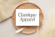 Metrolin Modern Serif Font, a Serif Font by Storytype Studio (Thumbnail 9 of 15)