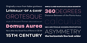 Soin Sans Neue, a Sans Serif Font by Stawix (Thumbnail 3 of 9)