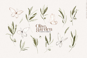 Olive Garden Watercolors Clipart