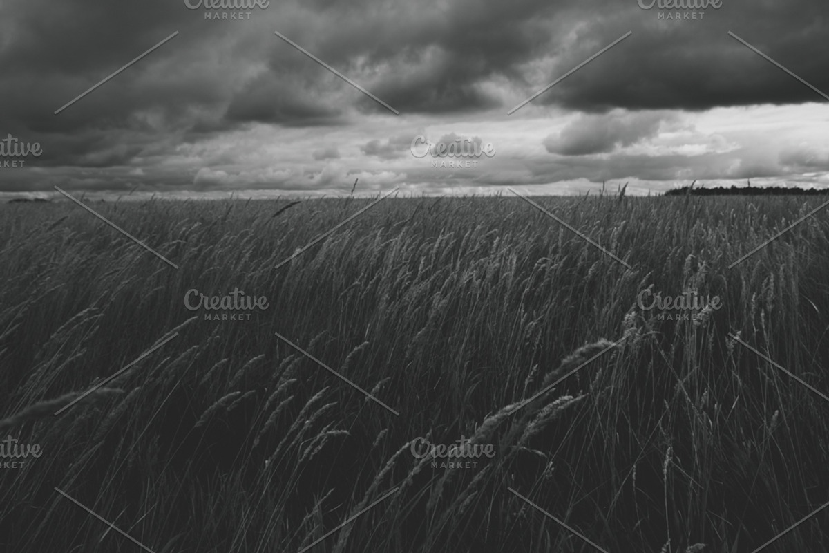 Mood collection, a Photo by Alekseyliss (Photo 14 of 21)