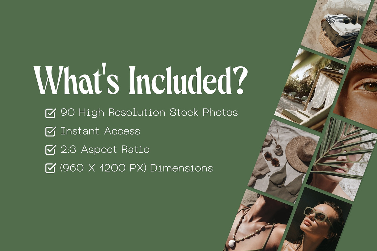 90 Olive Green Summer Stock Photos, a Photo by Incomelion (Photo 2 of 9)