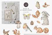 Woodland animal clipart Autumn mood, an Animal Illustration by Daryartsy (Thumbnail 3 of 7)