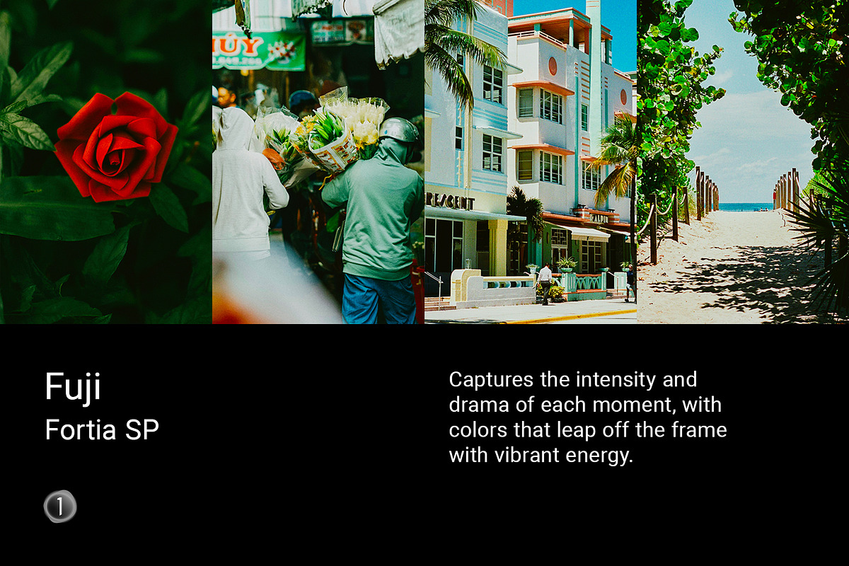 Fuji Fortia SP, a Preset Add-On by colorituals (Photo 1 of 8)