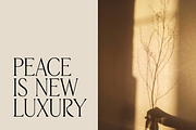 Rumera Serif, a Serif Font by gafaroff studio (Thumbnail 5 of 7)