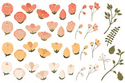 Peach Floral Vectors & Clipart, an Illustration by Amanda Ilkov (Thumbnail 3 of 3)