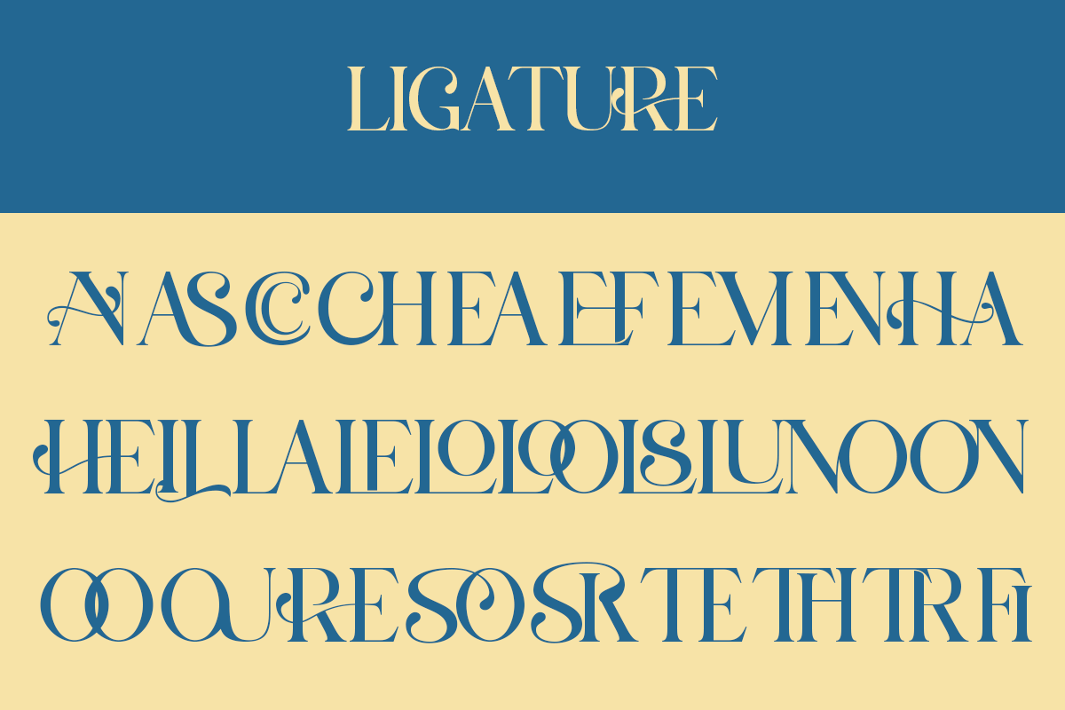 Saltive - Elegant Modern Serif, a Serif Font by Qweera Studio (Photo 9 of 12)