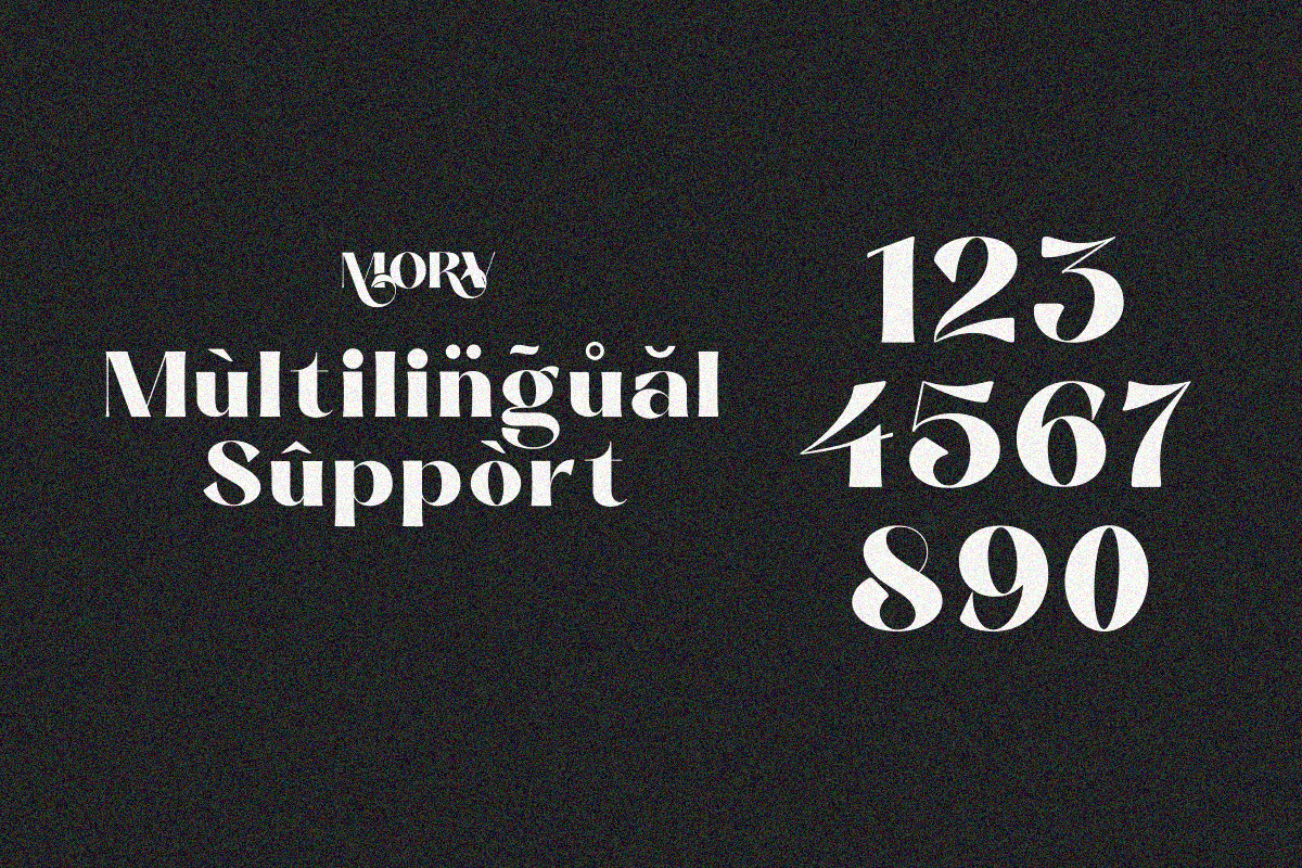 Morv, a Serif Font by zaaintype (Photo 11 of 11)