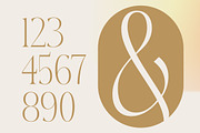Aska Modern Elegant Serif Font, a Serif Font by timelesstype.co (Thumbnail 8 of 20)