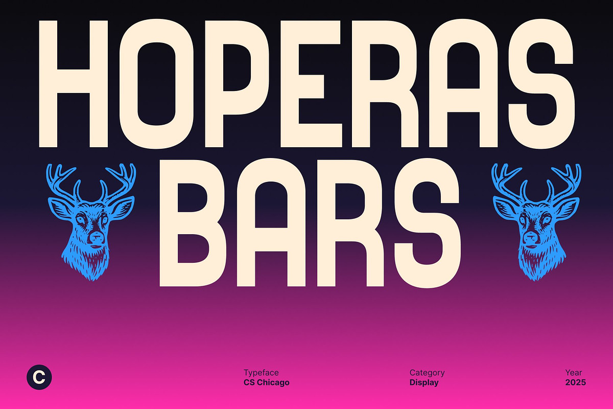 CS Chicago – Modern Sans Serif, a Sans Serif Font by Craft Supply Co. (Photo 2 of 8)