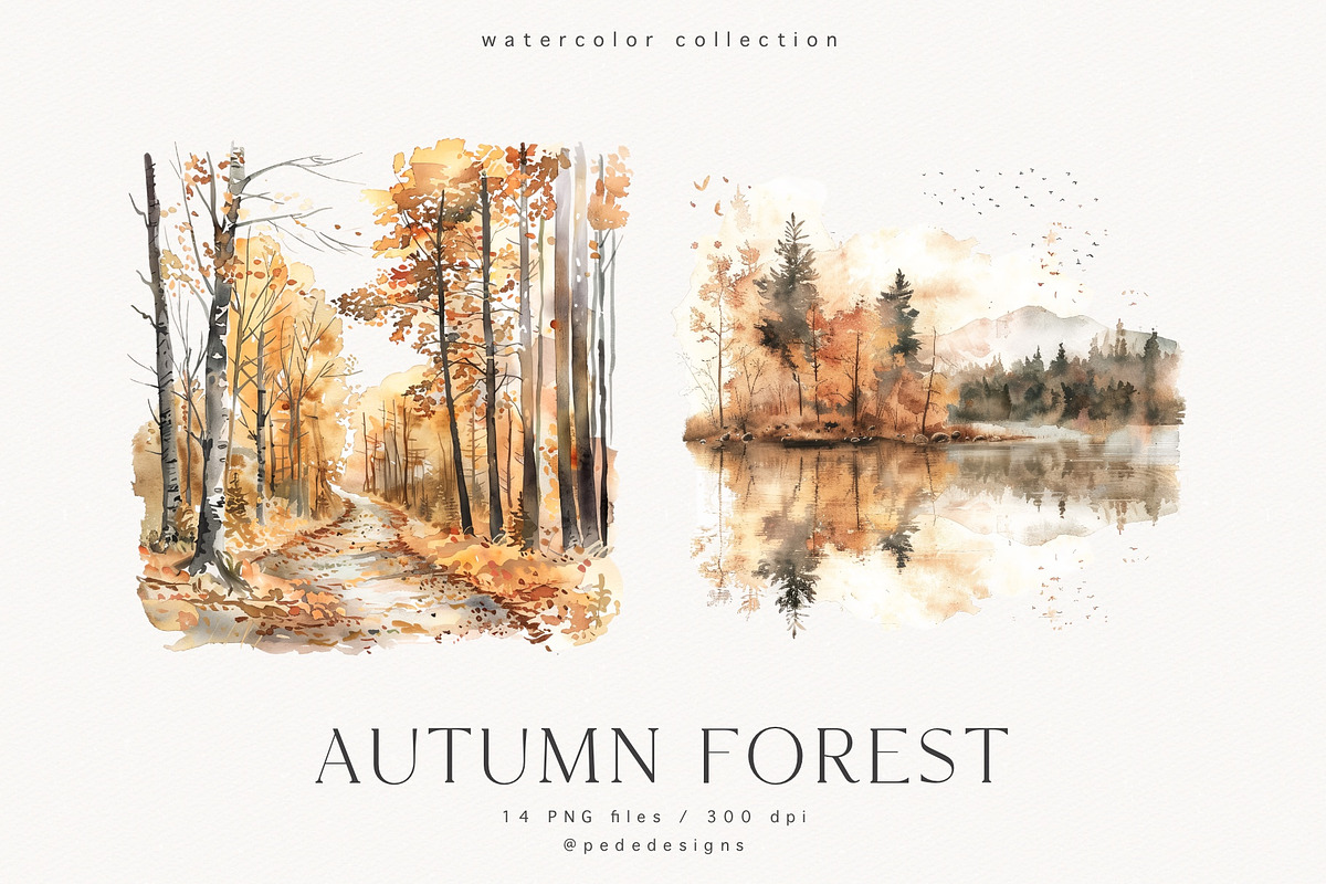 Autumn Forest, a Seasonal Illustration by PeDe Designs (Photo 3 of 7)