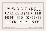 Charles - Chic Ligature Serif Font, a Serif Font by SilverStag Type Foundry (Thumbnail 29 of 31)