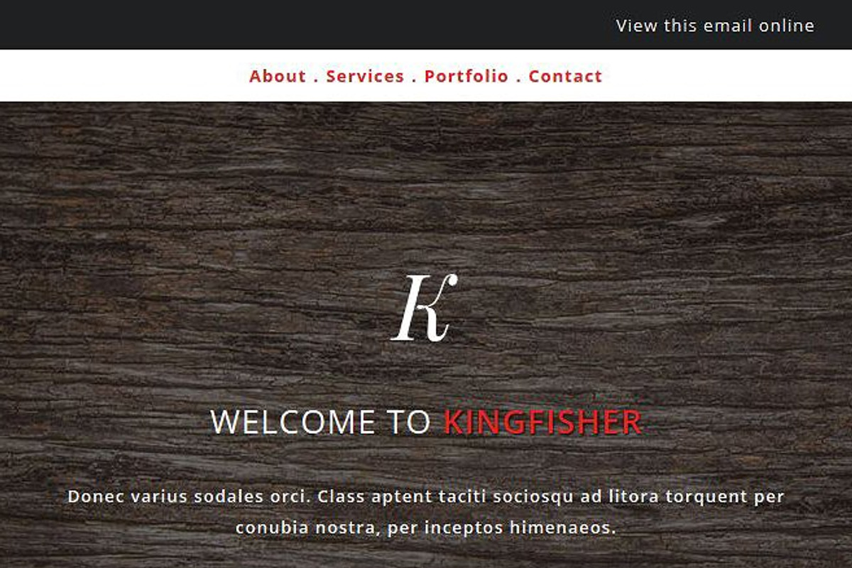 7 Email Templates Bundle-2, an Email Template by Pennyblack Templates (Photo 8 of 8)