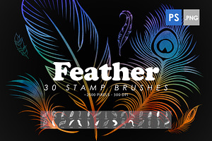 Feather Photoshop Stamp Brushes