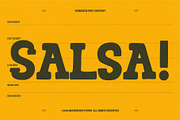 Varqogen, a Slab Serif Font by graphicook (Thumbnail 5 of 10)