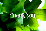 Habita - Serif Font, a Serif Font by blunesia (Thumbnail 6 of 6)