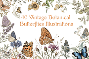 Vintage Botanical Butterflies, a Decorative Illustration by youtoview (Thumbnail 1 of 15)