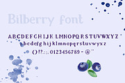 Bilberry rough serif font, a Serif Font by Art pages (Thumbnail 3 of 10)