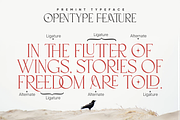 Premint Regular Stylish Serif Font, a Serif Font by Vampstudio (Thumbnail 6 of 13)