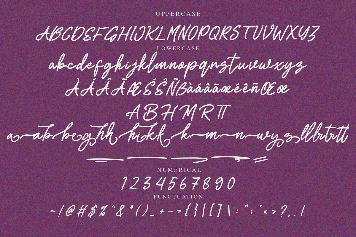 Manttanbia Monoline Script Font, a Script Font by NTC Graphic (Photo 8 of 9)